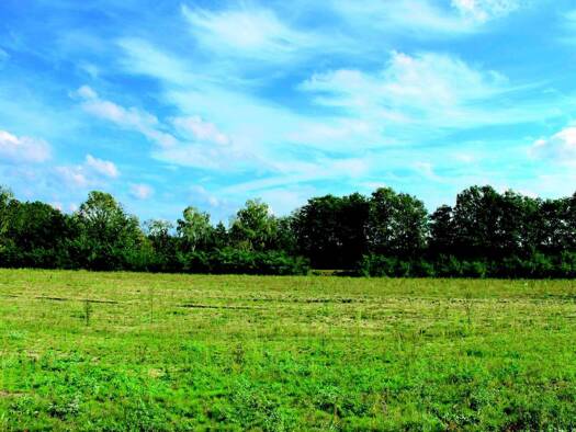 Land-/Forstwirtschaft zum Kauf 134.900 € 60.000 m² Grundstück Stadtgebiet Sankt Georgen im Schwarzwald 78112