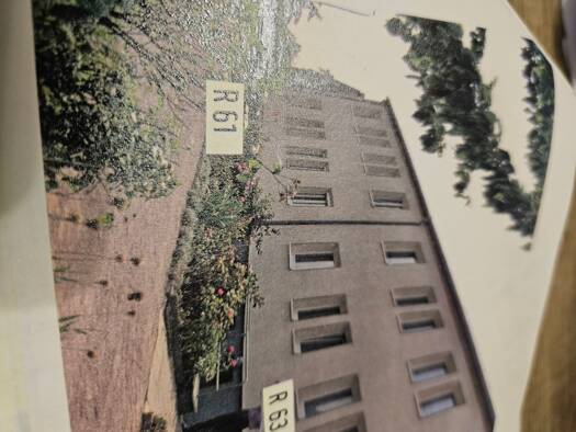 Wohnung zum Kauf provisionsfrei 65.000 € 3 Zimmer 56 m² Geschoss 1/1 Reudener Straße Wolfen Bitterfeld-Wolfen 06766