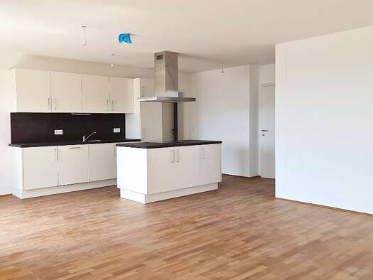 Wohnung zum Kauf provisionsfrei 386.802 € 4 Zimmer 98,7 m² Gries Graz 8055