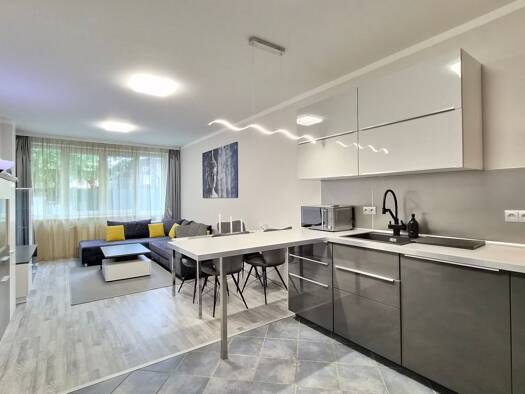 Wohnung zur Miete 1.500 € 2,5 Zimmer 70 m² frei ab sofort Prag 16000