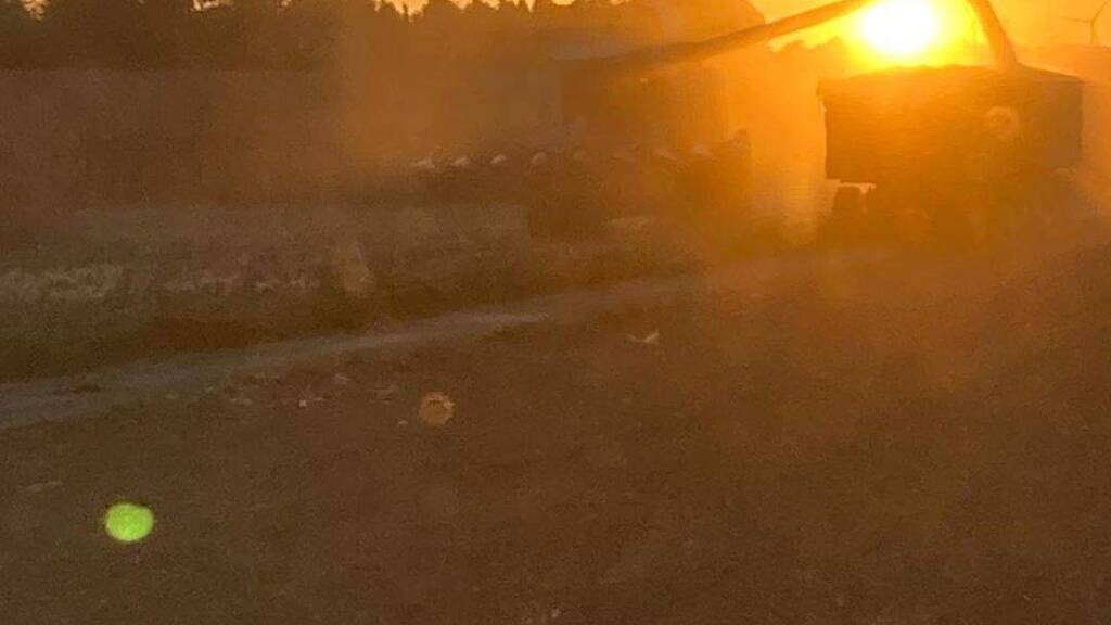 Land-/Forstwirtschaft zum Kauf 4.900.000 € Kalbach Frankfurt am Main 60311