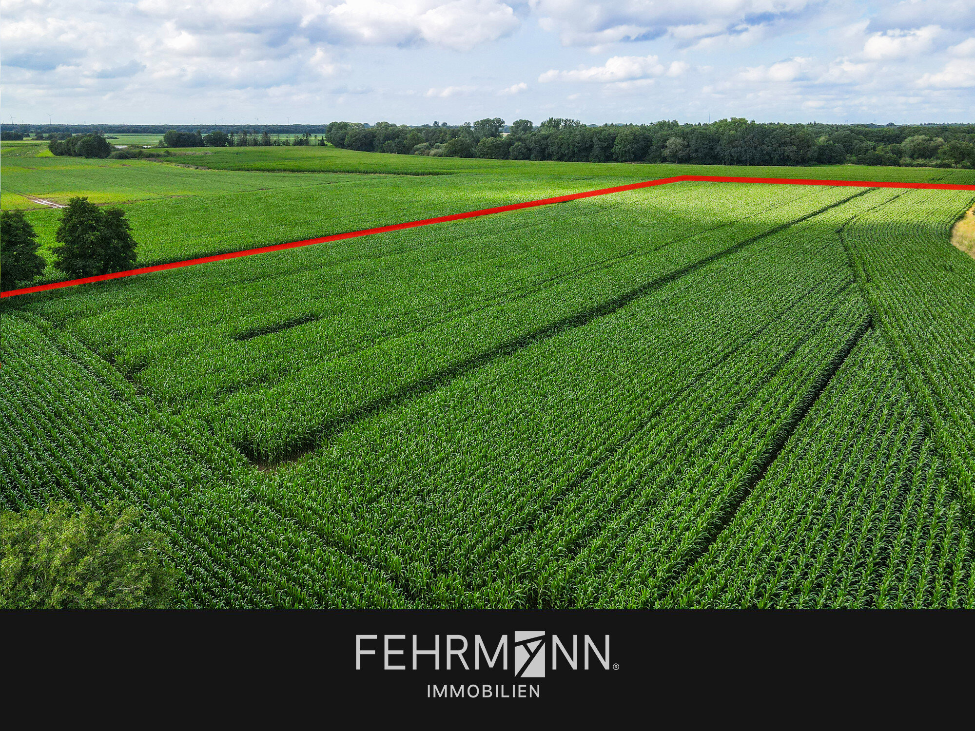 Land-/Forstwirtschaft zum Kauf 36.705 m²<br/>Grundstück Mitte Niederlangen 49779