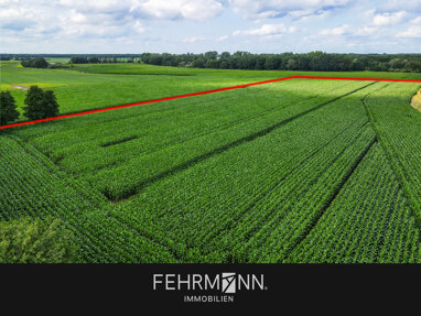 Land-/Forstwirtschaft zum Kauf 36.705 m² Grundstück Mitte Niederlangen 49779