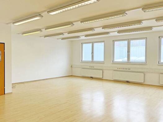 Bürofläche zur Miete 590 € 1 Zimmer 82 m² Bürofläche Pressbaum 3021