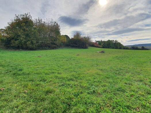 Grundstück zum Kauf 264.000 € 1.695 m² Grundstück Mattersburg 7210