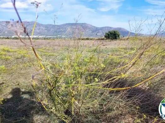 Wohn- und Gewerbegrundstück zum Kauf 29.000 € Carretera Vilamacolum 0 Torroella de Fluvià 17474
