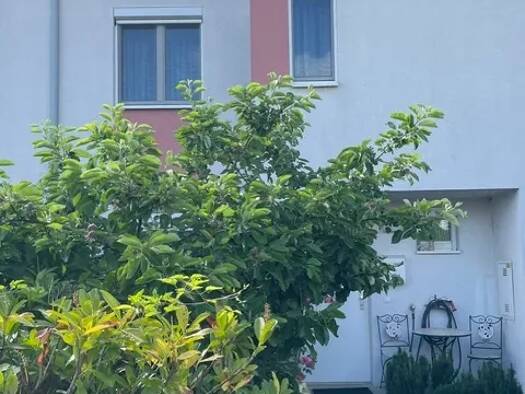 Haus zum Kauf 480.000 € 4 Zimmer 95 m² 197 m² Grundstück frei ab 31.10.2026 Donaustadt 1220