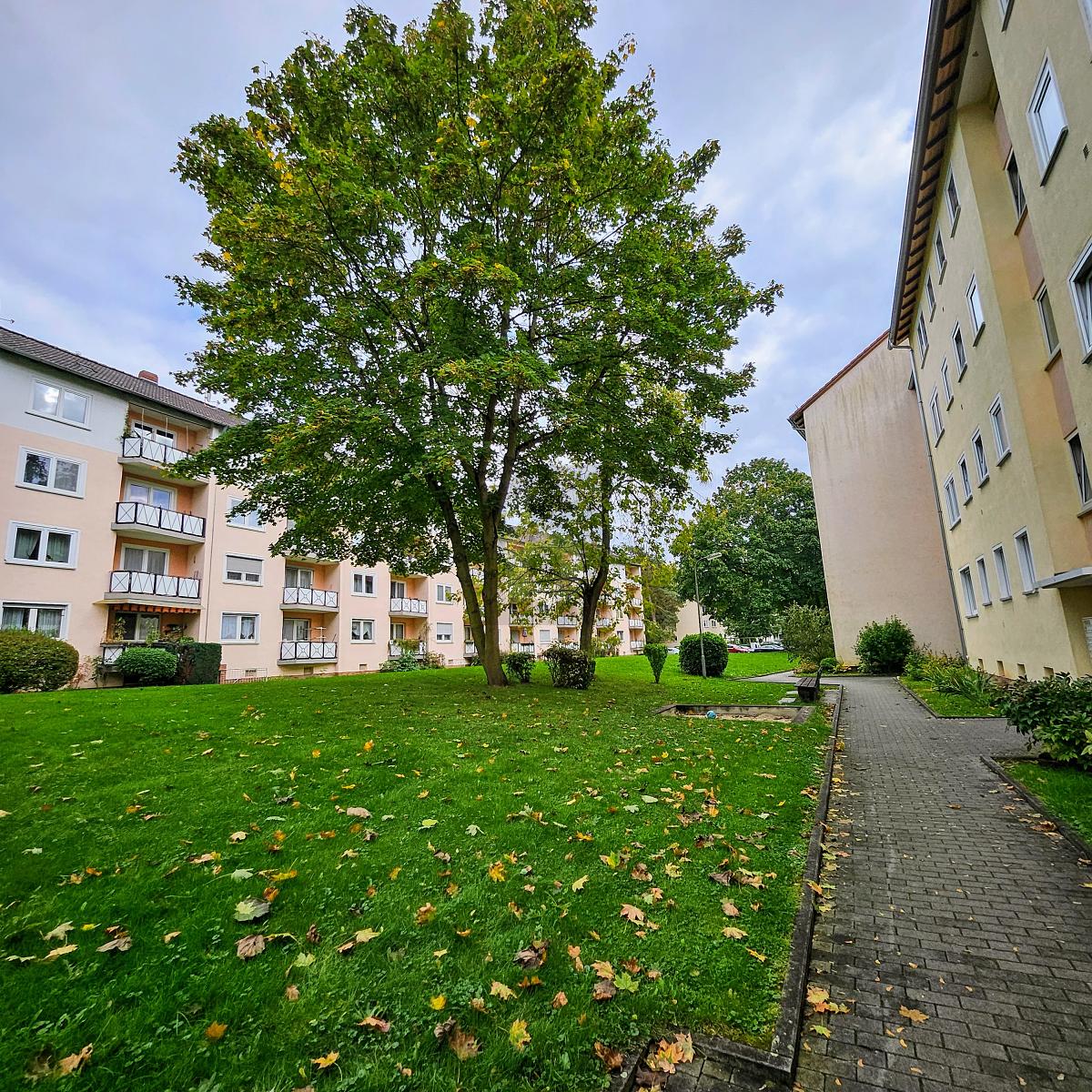 Wohnung zum Kauf 334.000 € 3 Zimmer 64 m²<br/>Wohnfläche 2.<br/>Geschoss Eschersheim Frankfurt am Main 60433