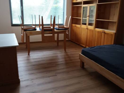Wohnung zur Miete 500 € 1 Zimmer 27 m² Geschoss EG/1 frei ab 01.02.2026 Gonsenheim Mainz 55124