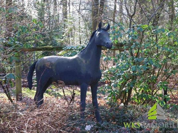 Einfamilienhaus zum Kauf 1.480.000 € 7 Zimmer 292 m² 120.975 m² Grundstück Holzhausen Lienen 49536