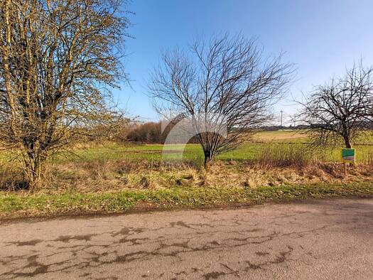 Grundstück zum Kauf provisionsfrei 62.500 € 1.654 m² Grundstück Manderfeld 4760