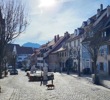 Wohnung zur Miete 750 € 4 Zimmer 90 m² Geschoss 2/3 Engen Engen 78234