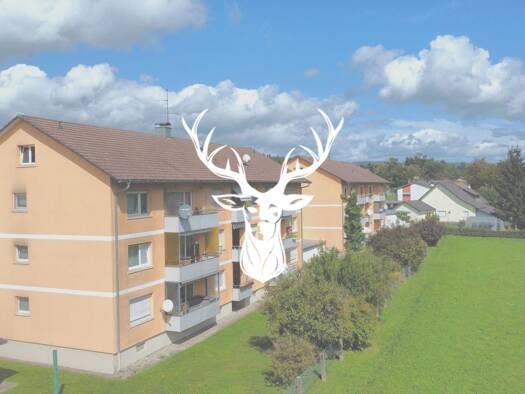 Wohnung zum Kauf 249.000 € 3,5 Zimmer 91 m² 2. Geschoss frei ab sofort Luttingen Laufenburg (Baden) 79725