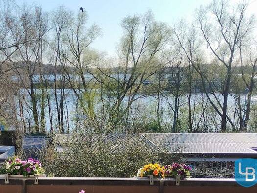 Reihenmittelhaus zum Kauf 319.000 € 5 Zimmer 157 m² 481 m² Grundstück Plön 24306