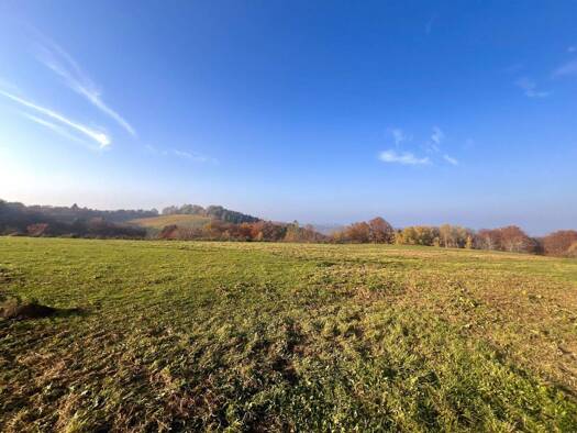 Grundstück zum Kauf 23.696 m² Grundstück Eckberg Gamlitz 8462