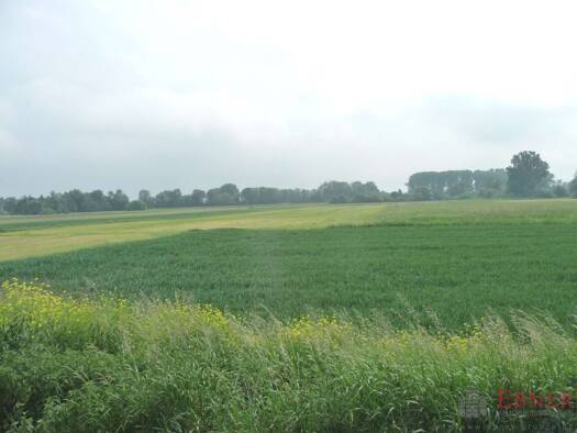 Grundstück zum Kauf 56.000 € 5.240 m² Grundstück Uttenhofen Stephansposching 94569