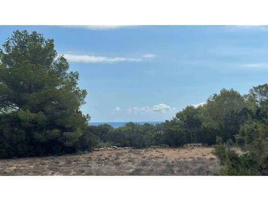 Acker-/Waldstück zum Kauf 1.200.000 € Formentera 07870