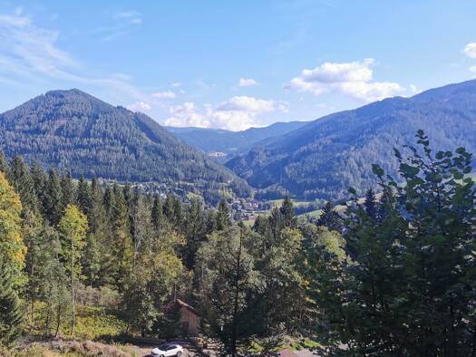 Grundstück zum Kauf 225.000 € 1.676 m² Grundstück Spital am Semmering 8685