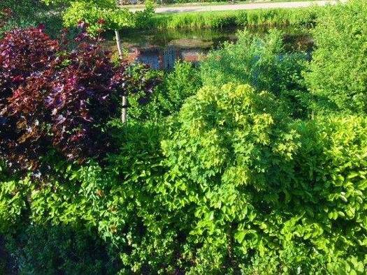 Maisonette zur Miete 1.350 € 2 Zimmer 50 m² Geschoss 1/2 frei ab 01.03.2026 Weidedamm Bremen 28215