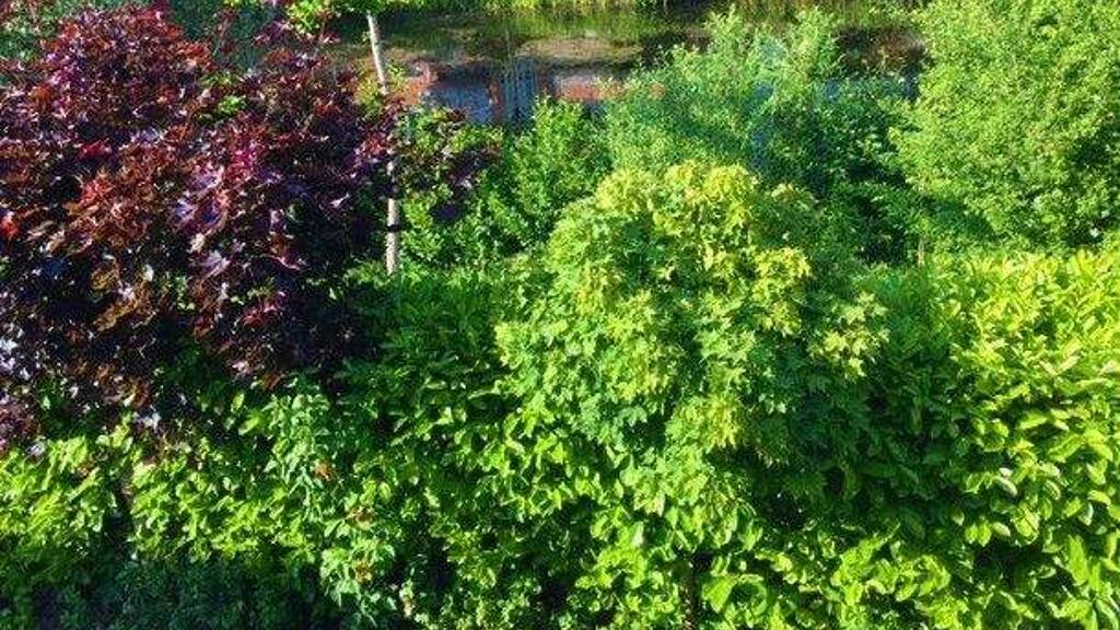 Maisonette zur Miete 1.350 € 2 Zimmer 50 m² Geschoss 1/2 frei ab 01.03.2026 Weidedamm Bremen 28215