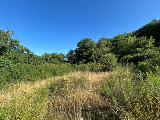 Grundstück zum Kauf 30.000 € 907 m² Grundstück Hahnenbach 55606