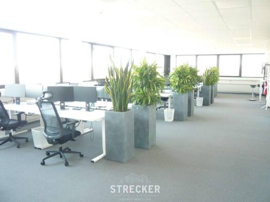 Bürofläche zur Miete 6,80 € 393 m² Bürofläche Beiertheim-Bulach Karlsruhe 76135