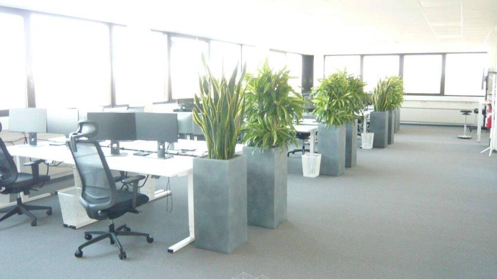 Bürofläche zur Miete 6,80 € 393 m² Bürofläche Beiertheim-Bulach Karlsruhe 76135