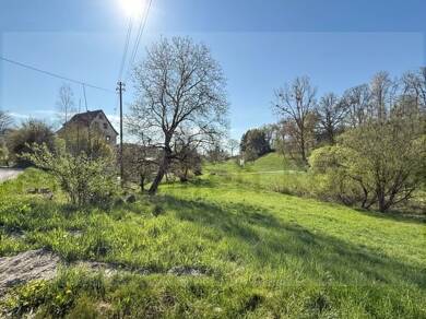 Haus zum Kauf 795.000 € 10 Zimmer 250 m² 13.200 m² Grundstück Wintersulgen Heiligenberg 88633
