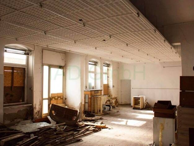 Mehrfamilienhaus zum Kauf 220.000 € 52 Zimmer 1.000 m² 650 m² Grundstück Reichenbach Reichenbach im Vogtland 08468