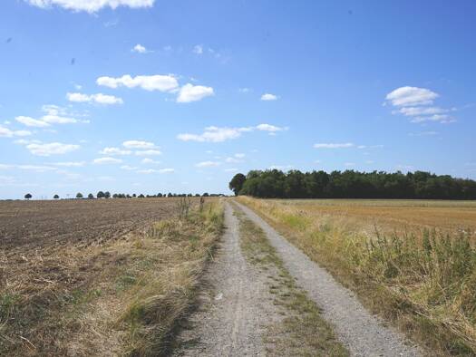 Land-/Forstwirtschaft zum Kauf 560.000 € 61.977 m² Grundstück Kanzlerfeld Lehndorf - Watenbüttel 38116