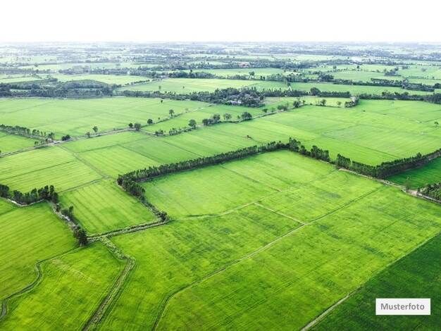 Grundstück zum Kauf provisionsfrei 4.000 € 1.460 m² Grundstück Büchenbach Büchenbach 91186