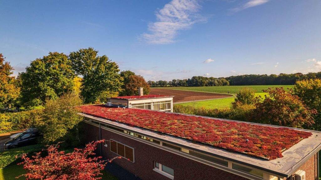 Bungalow zum Kauf 1.200.000 € 3 Zimmer 192,5 m² 1.000 m² Grundstück Donsbrüggen Kleve-Donsbrüggen 47533