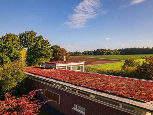 Bungalow zum Kauf 1.200.000 € 3 Zimmer 192,5 m² 1.000 m² Grundstück Donsbrüggen Kleve 47533