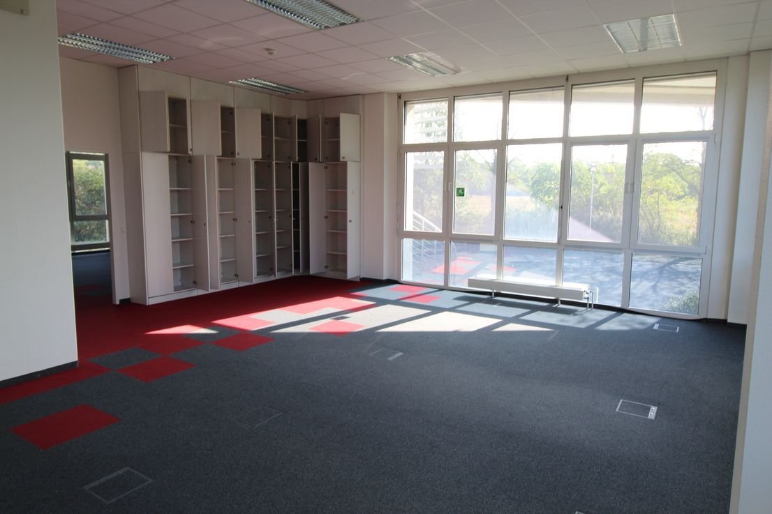 Bürokomplex zur Miete provisionsfrei 8,50 € 5.296 m²<br/>Bürofläche ab 210 m²<br/>Teilbarkeit Mörfelden Mörfelden-Walldorf 64546