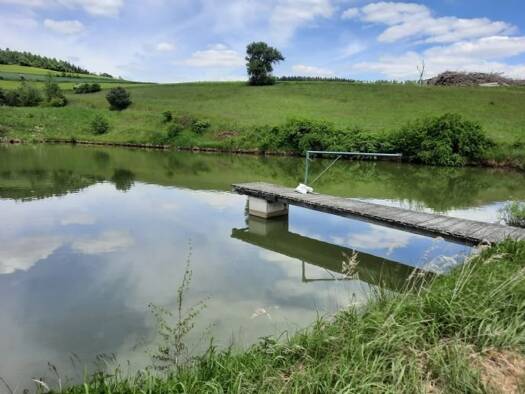 Teich-/Fischwirtschaft zur Versteigerung als Kapitalanlage geeignet 262.000 € 20.892 m² 20.892 m² Grundstück Gföhl 3521