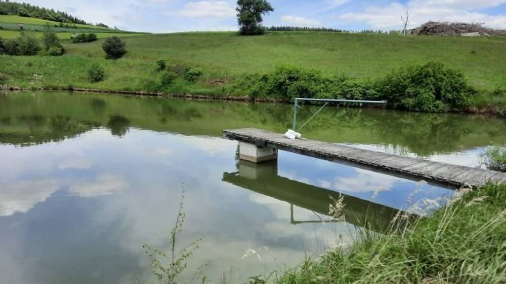 Teich-/Fischwirtschaft zur Versteigerung als Kapitalanlage geeignet 262.000 € 20.892 m² 20.892 m² Grundstück Gföhl 3521