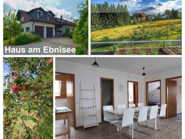 Einfamilienhaus zum Kauf provisionsfrei 799.000 € 12 Zimmer 344 m² 1.214 m² Grundstück Klösterle 4 Ebni Kaisersbach 73667