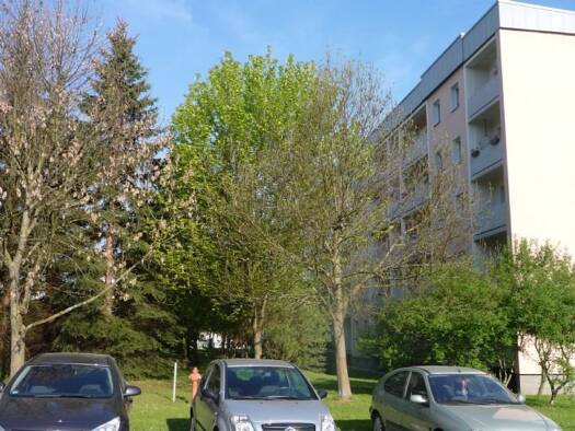 Wohnung zur Miete 280 € 2 Zimmer 47 m² 1. Geschoss frei ab sofort Poststraße 31 Reinsdorf Reinsdorf 08141