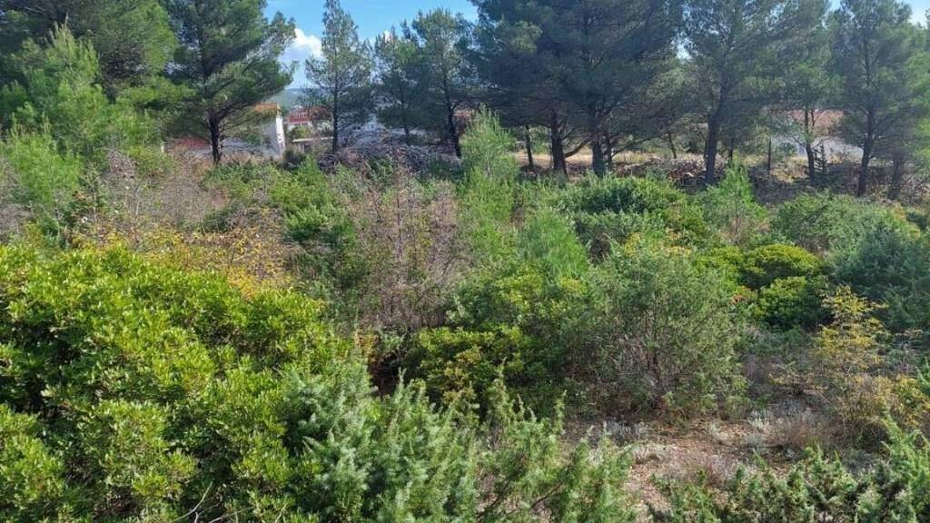 Land-/Forstwirtschaft zum Kauf 157.000 € Sibenik