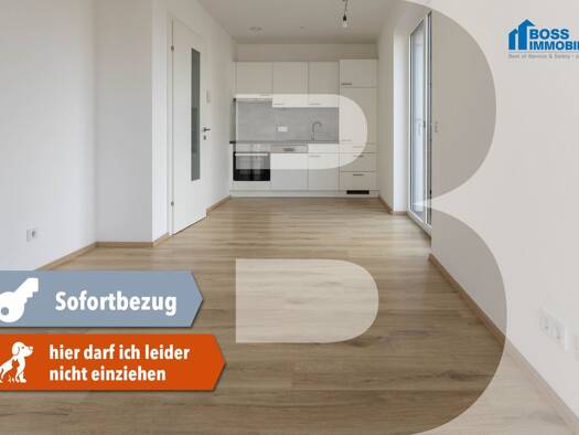 Wohnung zur Miete 458 € 2 Zimmer 41,9 m² 1. Geschoss Urnenhainweg 1a Traun 4050