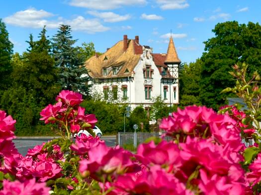 Mehrfamilienhaus zum Kauf 630.000 € 18 Zimmer 513 m² 2.480 m² Grundstück Grimma 04668