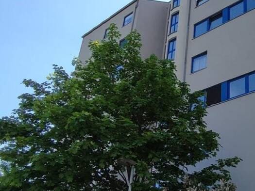 Wohnung zur Miete 265 € 1 Zimmer 39,4 m² 1. Geschoss Wismarer Straße 20 Weida Riesa 01587