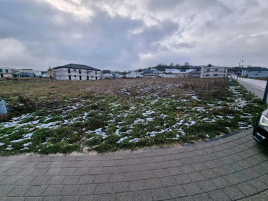 Grundstück zum Kauf 125.000 € 560 m² Grundstück Welschbillig Welschbillig 54298