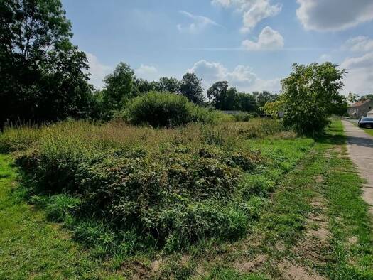 Grundstück zum Kauf provisionsfrei 34.000 € 726 m² Grundstück Alt Tucheband Brandenburg-Alt Tucheband 15328