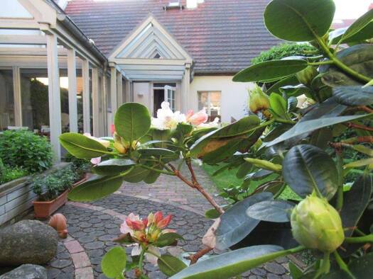 Einfamilienhaus zum Kauf 250.000 € 120 m² 216 m² Grundstück Frankfurt Frankfurt (Oder) 15230