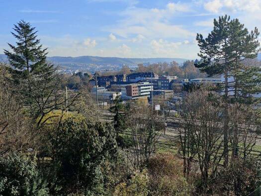 Studio zum Kauf 224.500 € 2 Zimmer 46 m² 1. Geschoss Bad Cannstatt Stuttgart-Birkenäcker 70376