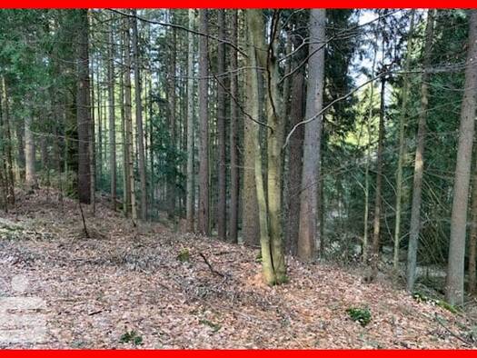 Land-/Forstwirtschaft zum Kauf 102.777 m² Grundstück Langdorf 94264