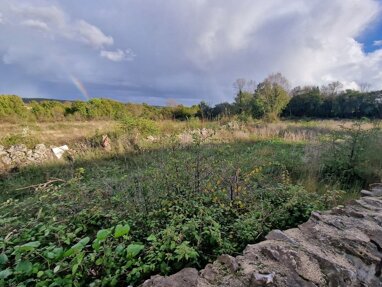 Land-/Forstwirtschaft zum Kauf 145.000 € Malinska