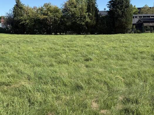 Grundstück zum Kauf 160.000 € 500 m² Grundstück Mattighofen 5230