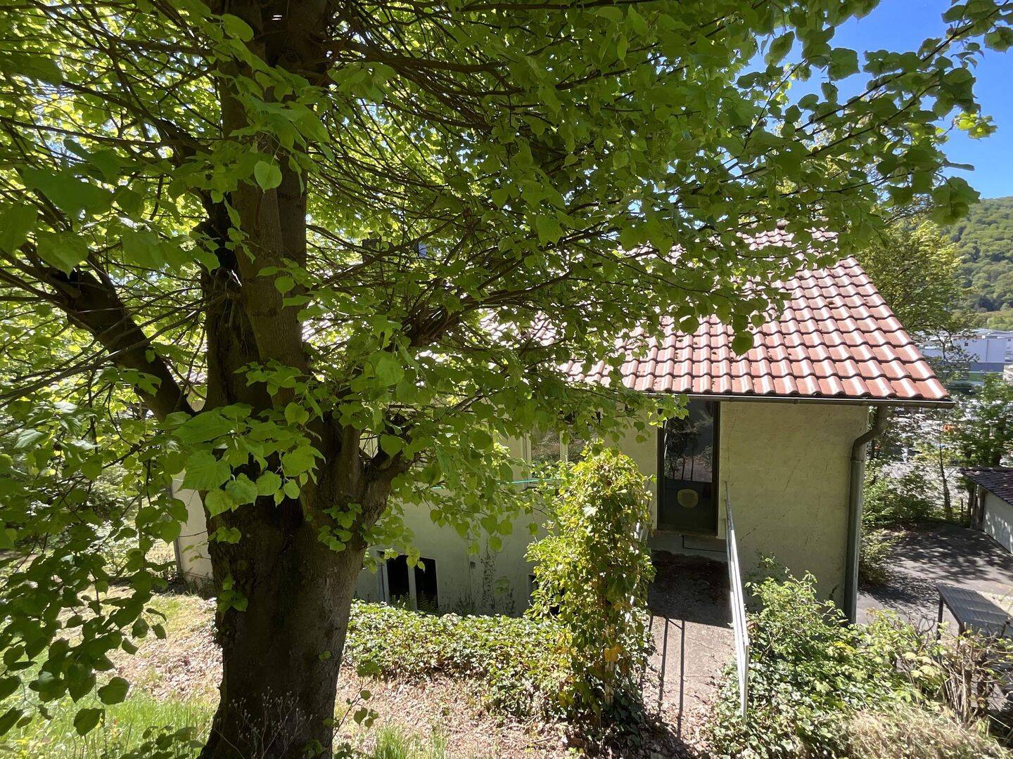 Mehrfamilienhaus zum Kauf - Ansicht 6